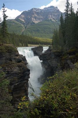 Athabasca (asp05-2928)