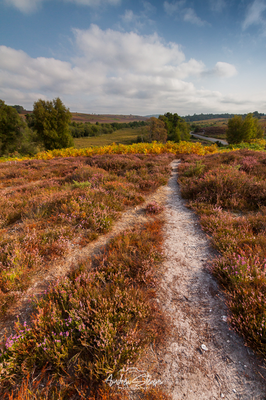Old Way, New Way (asp125-08-0400)